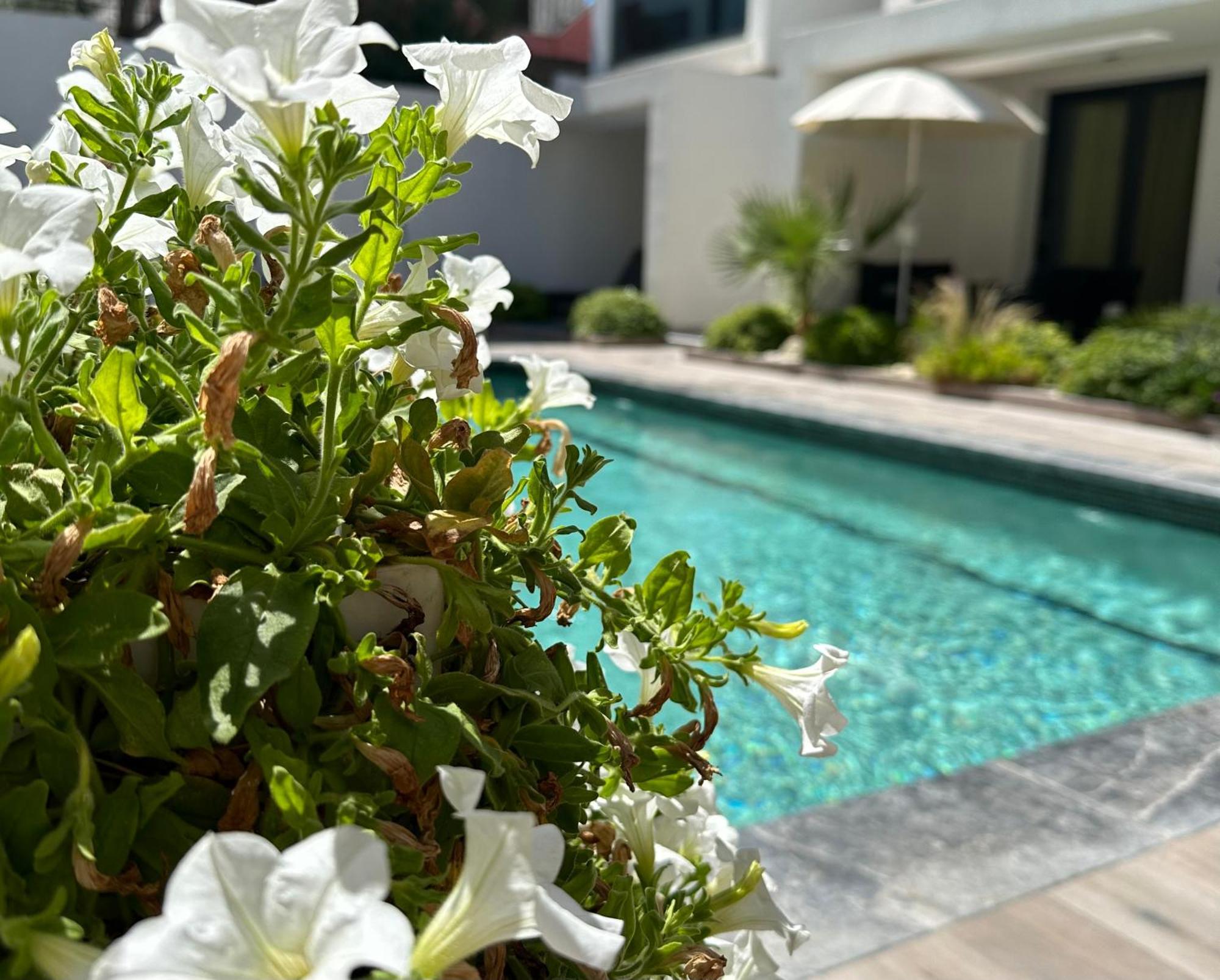 Kallithea Love Paradise Pool & Garden Buitenkant foto